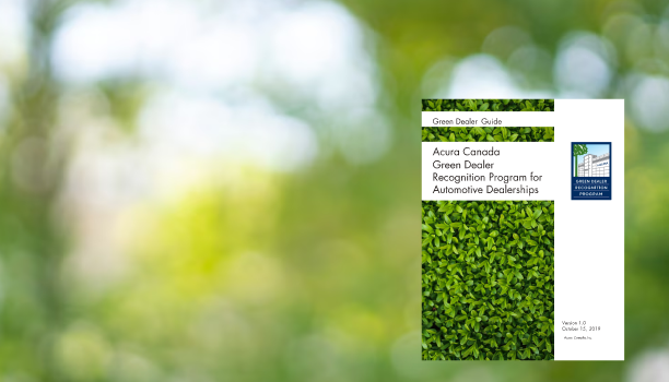 A green dealer guide is shown up close with a forest in the background.