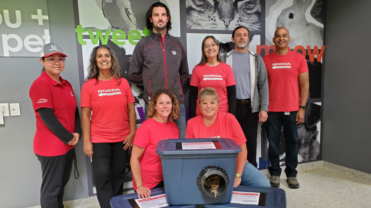 A group of Honda employees pose inside a pet rescue centre. 