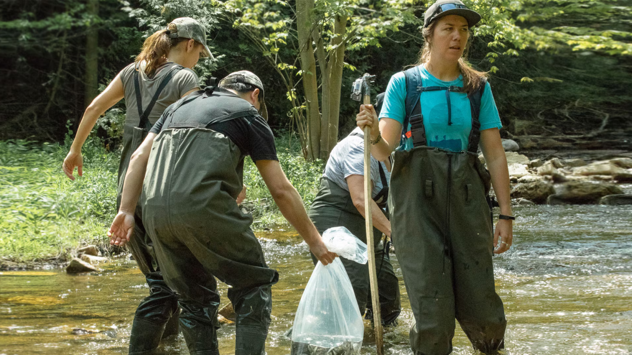 A group of Honda employees in hip waders are shown cleaning up river.