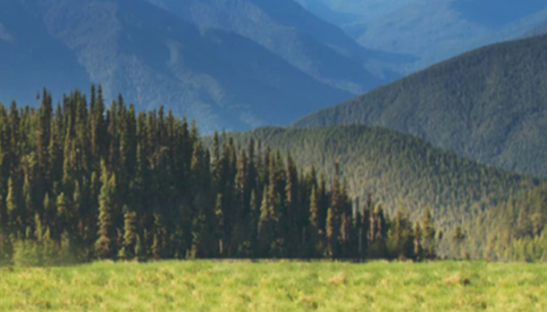 A beautiful scenic view of mountains and lush green trees along with a grassland.