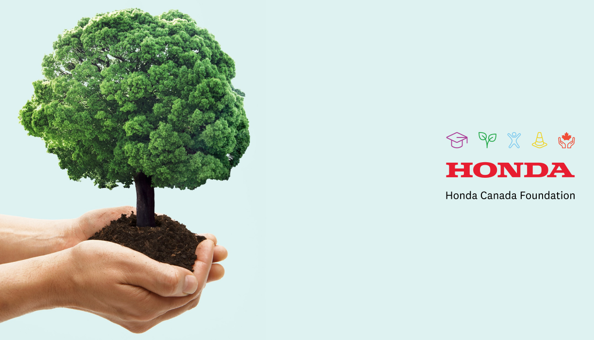 A pair of hands hold a soil from which is sprouting a small tree. 